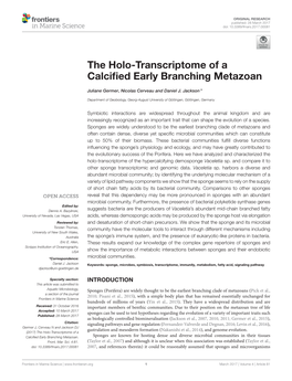 The Holo-Transcriptome of a Calcified Early Branching Metazoan