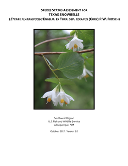 Species Status Assessment for Texas Snowbells (Styrax Platanifolius Engelm