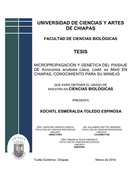 Universidad De Ciencias Y Artes De Chiapas Tesis