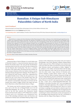 Bamulian: a Unique Sub-Himalayan Palaeolithic Culture of North India