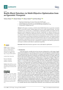 Braille Block Detection Via Multi-Objective Optimization from an Egocentric Viewpoint