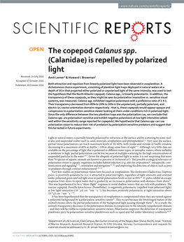 The Copepod Calanus Spp. (Calanidae) Is Repelled by Polarized Light Received: 14 July 2016 Amit Lerner1 & Howard I