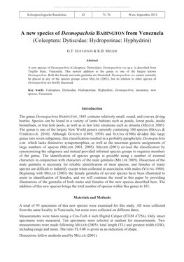 A New Species of Desmopachria BABINGTON from Venezuela (Coleoptera: Dytiscidae: Hydroporinae: Hyphydrini)