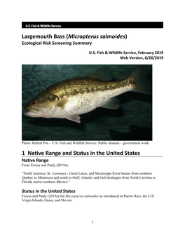 Micropterus Salmoides) Ecological Risk Screening Summary