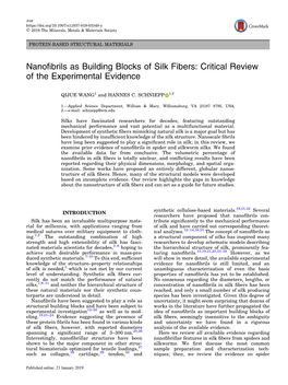 Nanofibrils As Building Blocks of Silk Fibers