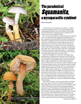 Figure 1. the Powdercap Strangler, Squamanita Paradoxa, Vancouver