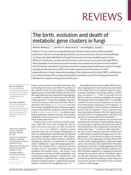 The Birth, Evolution and Death of Metabolic Gene Clusters in Fungi