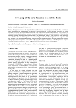 New Group of the Early Palaeozoic Conodont-Like Fossils