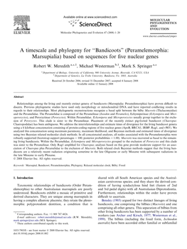 Bandicoots” (Peramelemorphia: Marsupialia) Based on Sequences for ﬁve Nuclear Genes