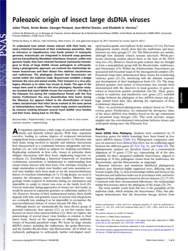 Paleozoic Origin of Insect Large Dsdna Viruses