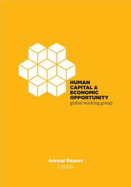 Annual Report 1.2020 HCEO Is Run by the Center for the Economics of Human Development, and Funded by the Institute for New Economic Thinking