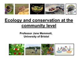 Ecology and Conservation at the Community Level
