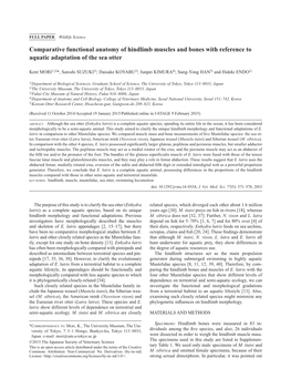 Comparative Functional Anatomy of Hindlimb Muscles and Bones with Reference to Aquatic Adaptation of the Sea Otter