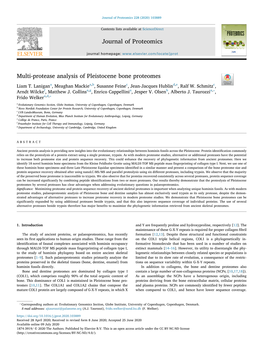 Multi-Protease Analysis of Pleistocene Bone Proteomes T Liam T