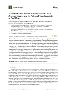 Identification of Black Rot Resistance in a Wild Brassica Species and Its