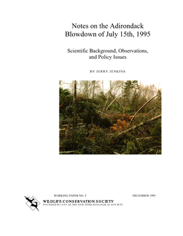 Notes on the Adirondack Blowdown of July 15Th, 1995