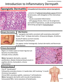 Introduction to Inflammatory Dermpath