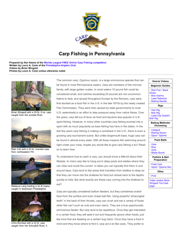 Carp Fishing in Pennsylvania