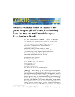 (Siluriformes, Pimelodidae) from the Amazon and Paraná-Paraguay River Basins in Brazil