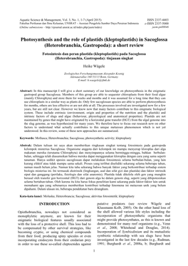 Photosynthesis and the Role of Plastids (Kleptoplastids) in Sacoglossa (Heterobranchia, Gastropoda) a Short Review