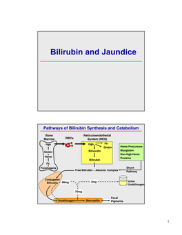 Bilirubin and Jaundice