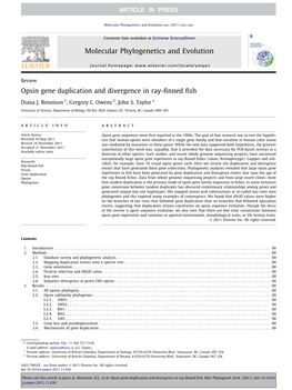 Opsin Gene Duplication and Divergence in Ray-Finned Fish