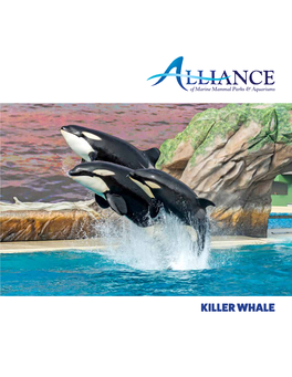 KILLER WHALE SCIENTIFIC CLASSIFICATION Order: Cetacea • the Word “Cetacean” Is Derived from the Greek Word for Whale, Ketos