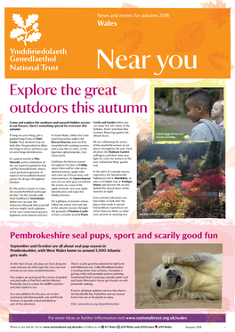 Explore the Great Outdoors This Autumn