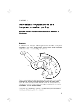 Indications for Permanent and Temporary Cardiac Pacing