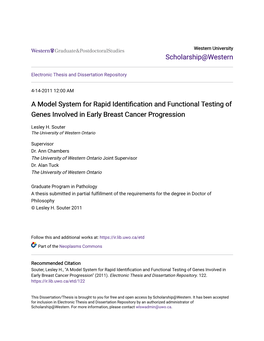 A Model System for Rapid Identification and Functional Testing of Genes Involved in Early Breast Cancer Progression