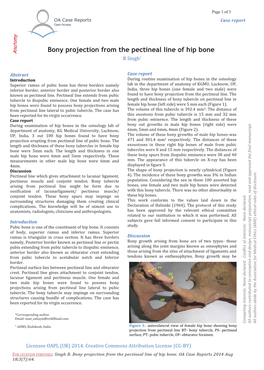 Bony Projection from the Pectineal Line of Hip Bone Anatomy R Singh1