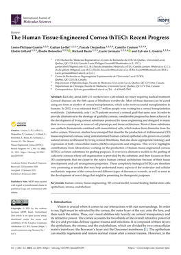 The Human Tissue-Engineered Cornea (Htec): Recent Progress