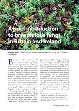 A Brief Introduction to Bryophilous Fungi in Britain and Ireland