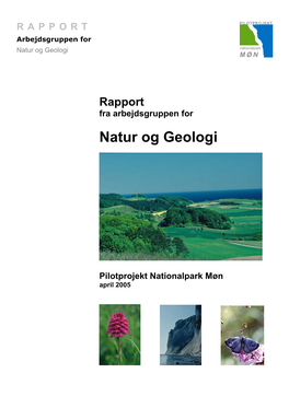 Rapport Fra Arbejdsgruppen for Natur Og Geologi
