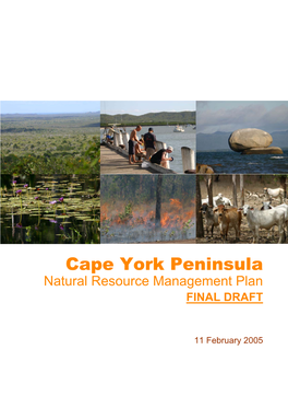 Cape York Peninsula Natural Resource Management Plan FINAL DRAFT