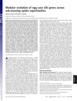 Modular Evolution of Egg Case Silk Genes Across Orb-Weaving Spider Superfamilies