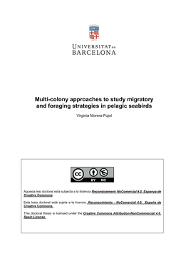 Multi-Colony Approaches to Study Migratory and Foraging Strategies in Pelagic Seabirds