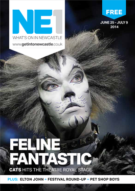 Feline Fantastic Cats Hits the Theatre Royal Stage