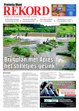 Brugplan Met Apies Het Stilletjies Gesink