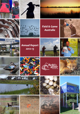 2013 Annual Report