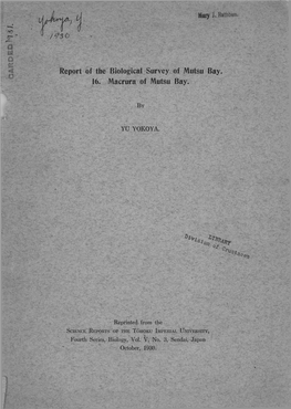 Report of the Biological Survey of Mutsu Bay. 16. Macrura of Mutsu Bay