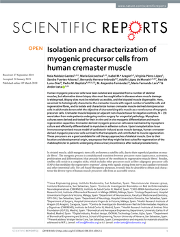 Isolation and Characterization of Myogenic Precursor Cells From