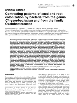 Contrasting Patterns of Seed and Root Colonization by Bacteria from the Genus Chryseobacterium and from the Family Oxalobacteraceae