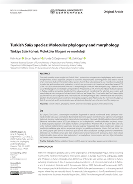 Turkish Salix Species: Molecular Phylogeny and Morphology Türkiye Salix Türleri: Moleküler Filogeni Ve Morfoloji