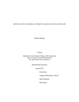 Identification of Rhizobial Symbionts Associated with Lupinus Spp