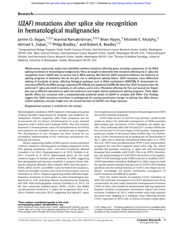 U2AF1 Mutations Alter Splice Site Recognition in Hematological Malignancies