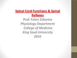 Spinal Cord Functions & Spinal Reflexes Prof. Faten Zakareia