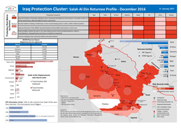 Iraq Protection Cluster: Salah Al Din Returnee Profile - December 2016 31 January 2017