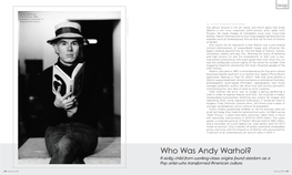 Who Was Andy Warhol? a Sickly Child from Working-Class Origins Found Stardom As a Pop Artist Who Transformed American Culture