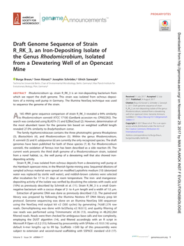 Draft Genome Sequence of Strain R RK 3, an Iron-Depositing Isolate